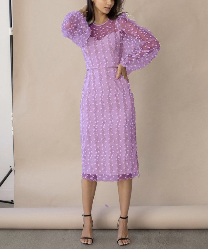 New Ladies Style Embroidered Perspective Mesh Dress