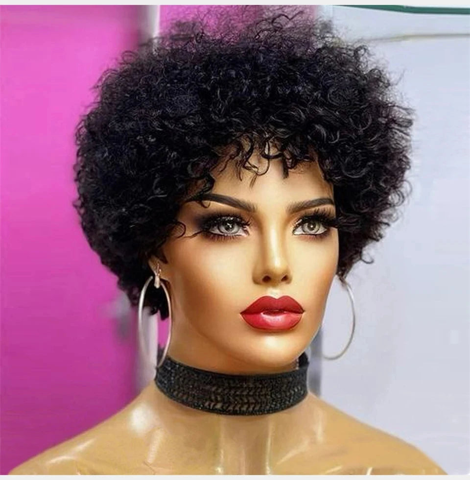 Bouncy Afro Kinky Curly Human Hair Wig