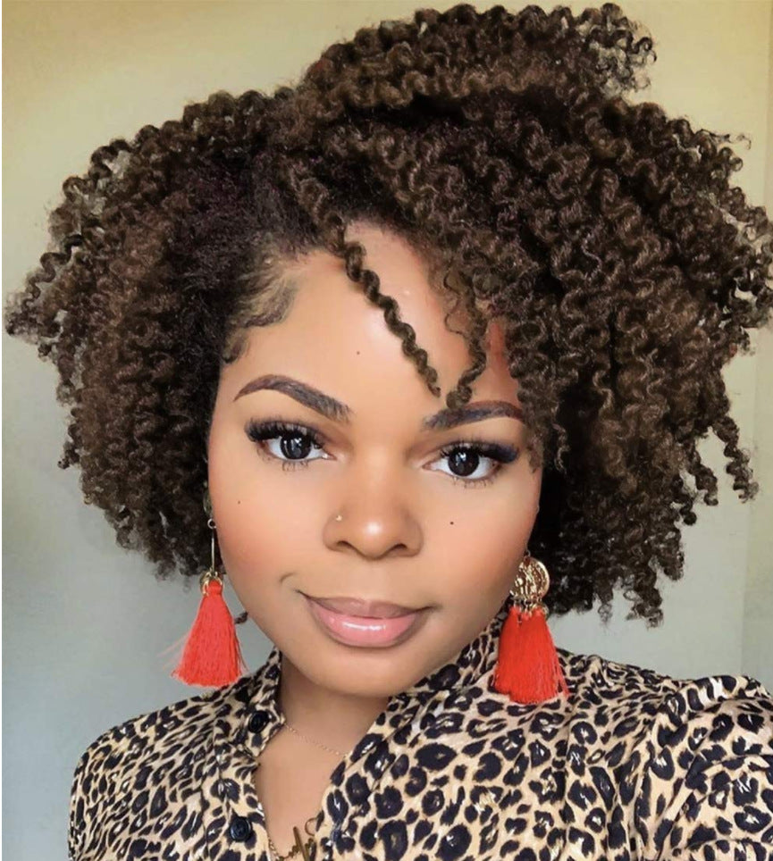 African Small Curly Synthetic Wig