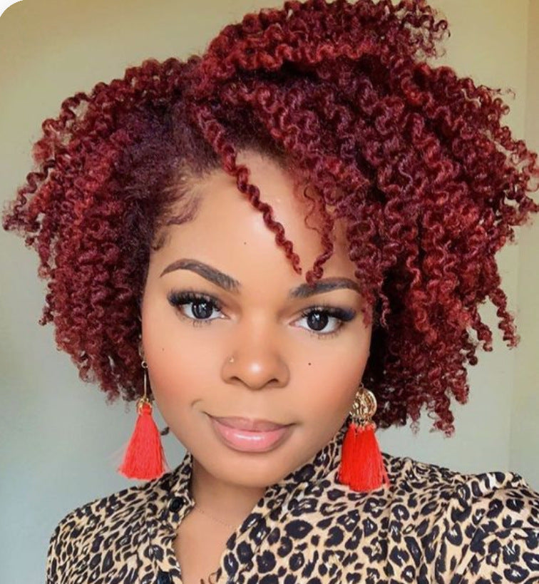 African Small Curly Synthetic Wig