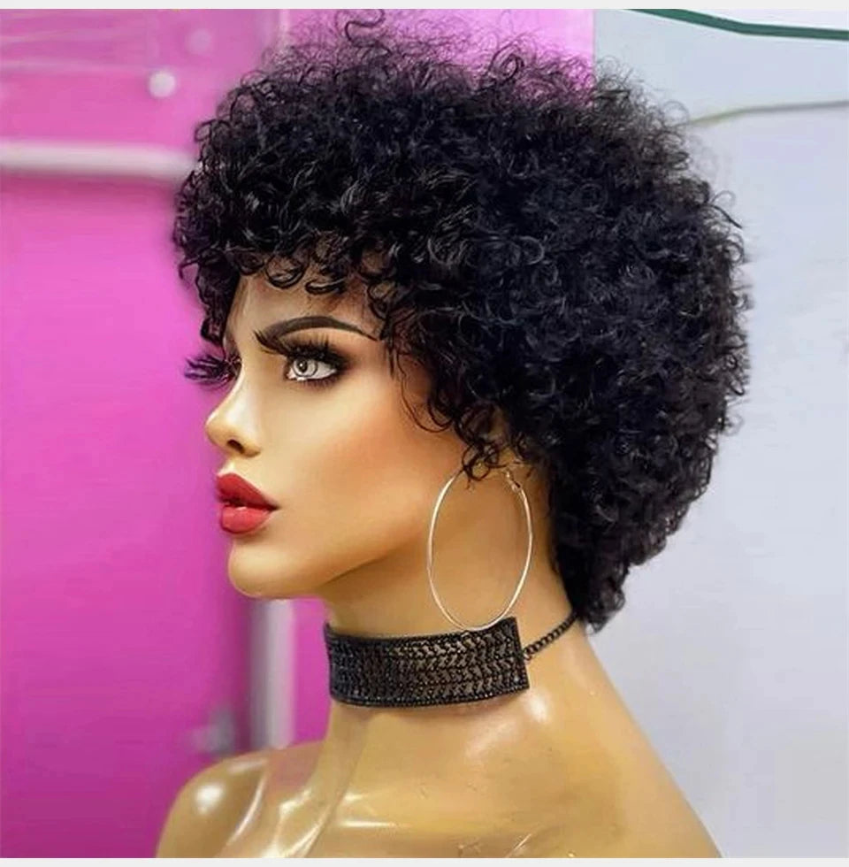 Bouncy Afro Kinky Curly Human Hair Wig