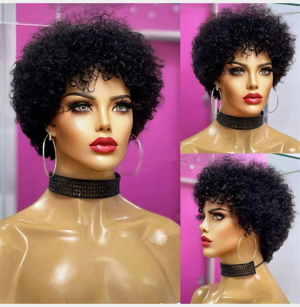 Bouncy Afro Kinky Curly Human Hair Wig