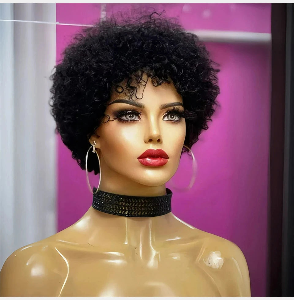 Bouncy Afro Kinky Curly Human Hair Wig
