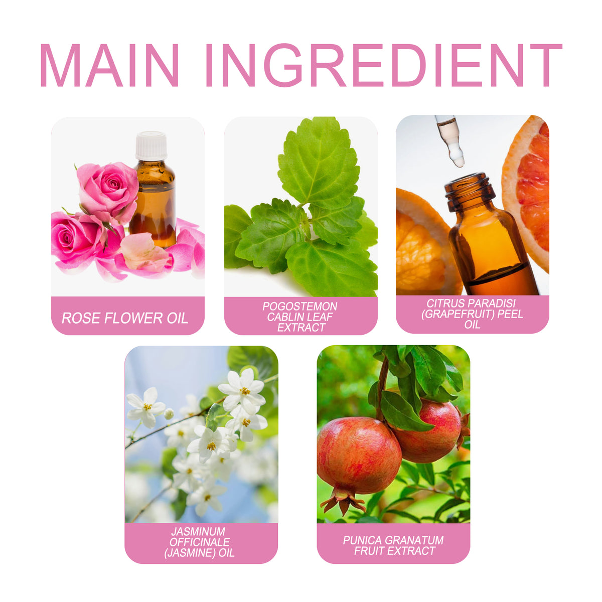 Rose Niche Perfume Oil