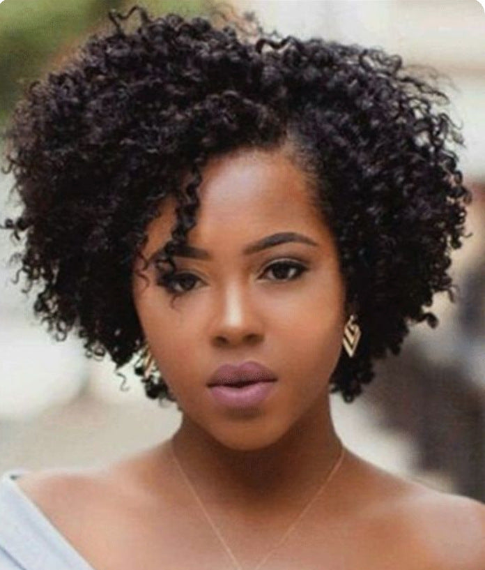 African Small Curly Synthetic Wig
