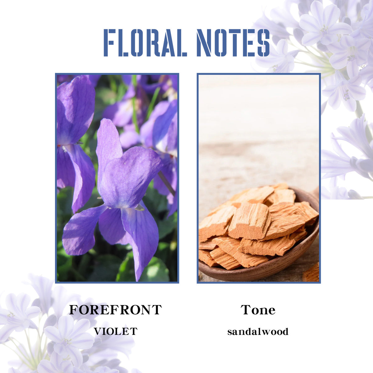 Violet Charm Perfume Spray
