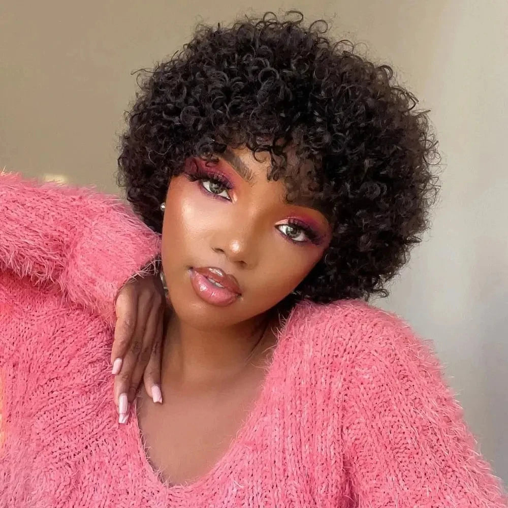 Bouncy Afro Kinky Curly Human Hair Wig