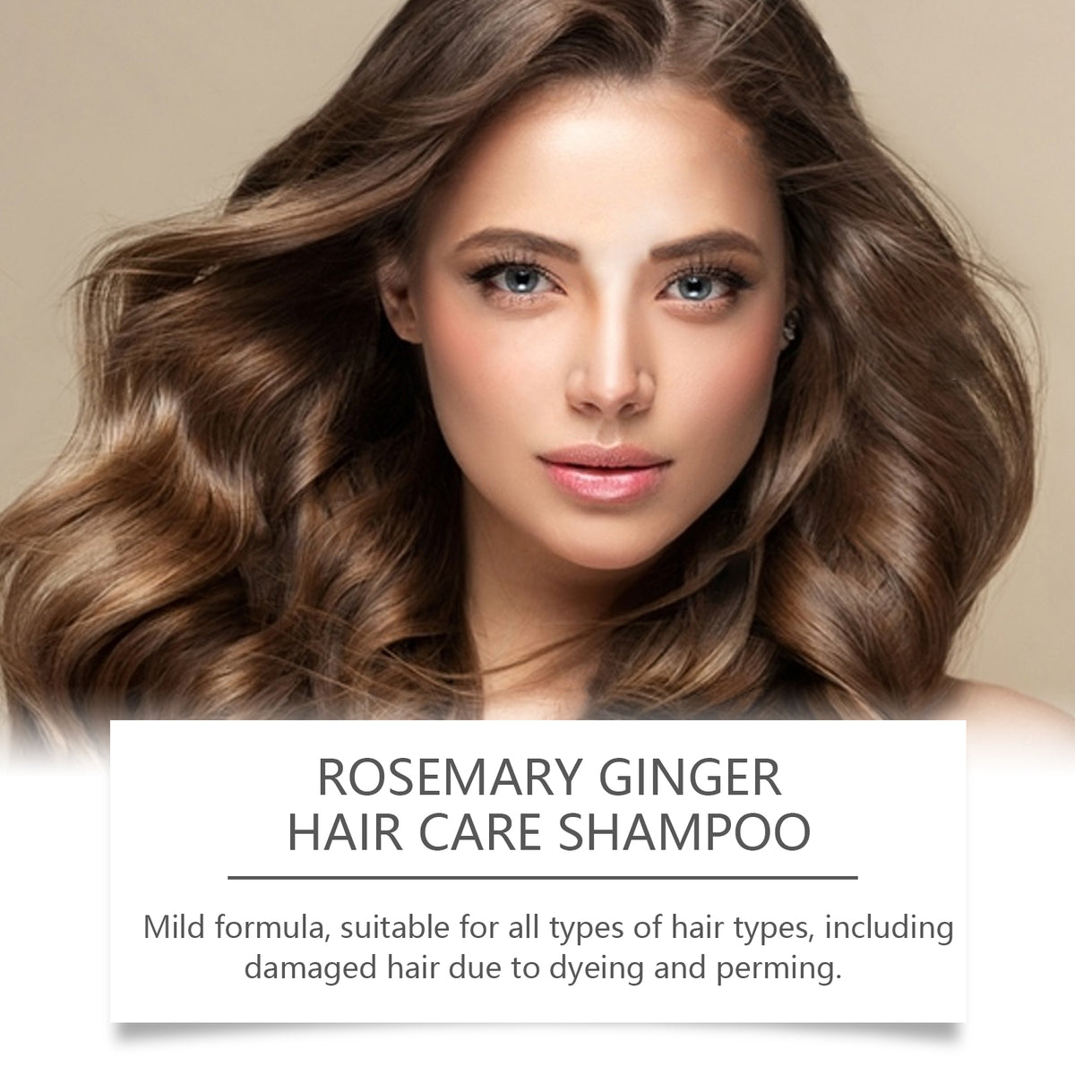 Rosemary Ginger Shampoo, Deep Cleaning Repair Dry Hair, Soft And Strong Hair Care Shampoo